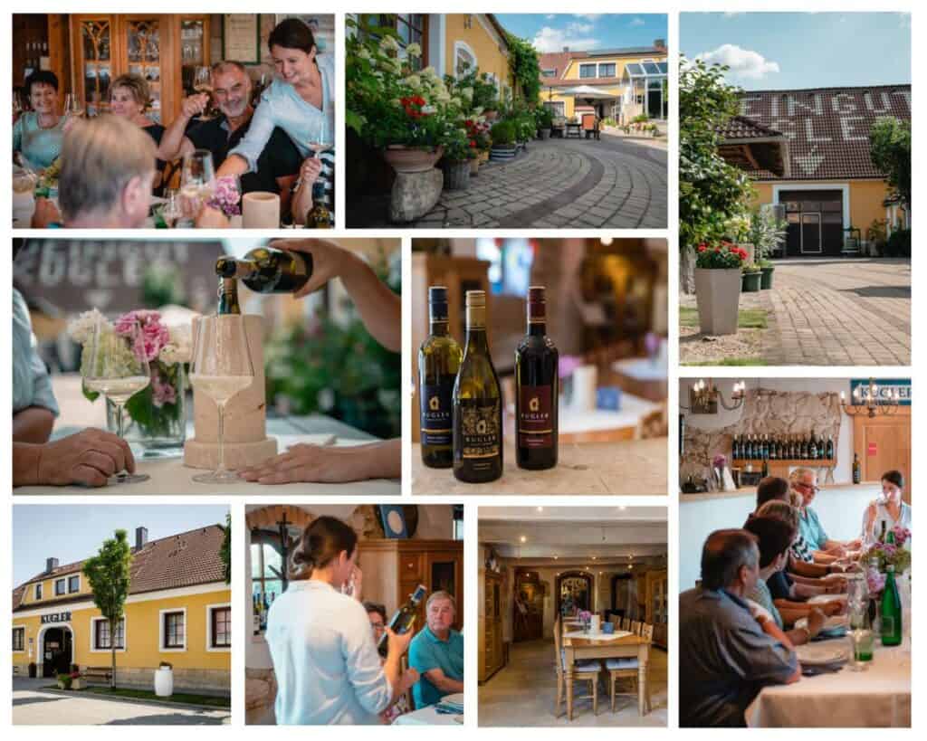 Gäste bei einer Weinverkostung im Weingut Kugler im Burgenland, umgeben von malerischen Weinbergen.